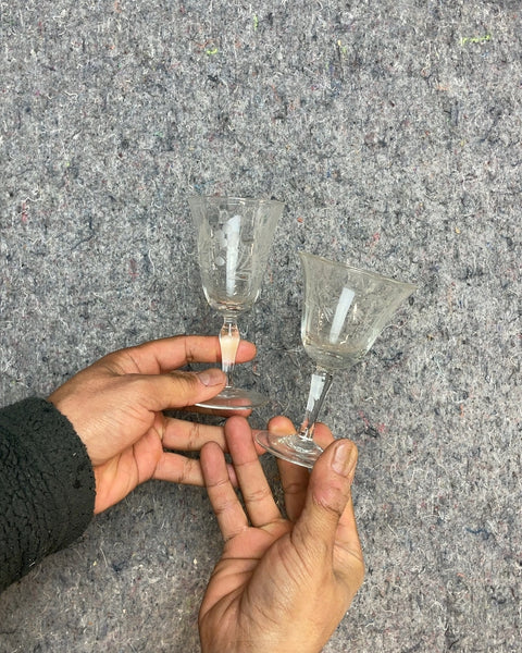 Two Etched Glass Cordial Glasses