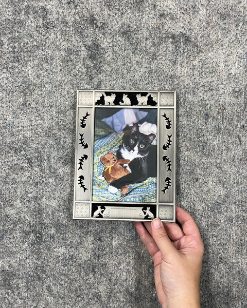 Silver Cat and Fishbone Picture Frame, 4 x 6 in