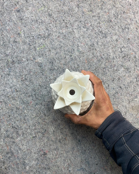 Ceramic Pineapple Cover