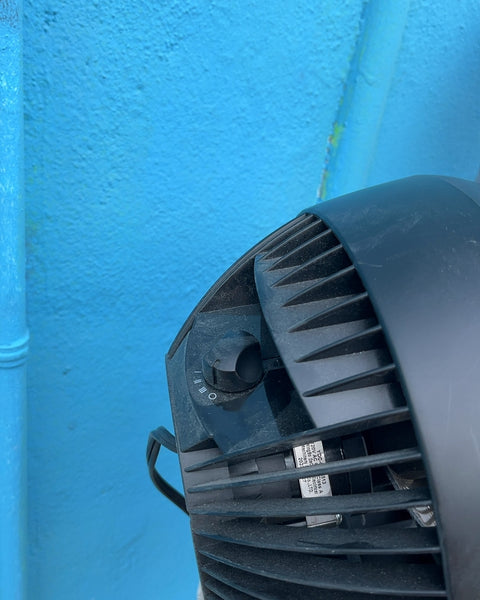 Honeywell TurboForce Table Air Circulator Fan