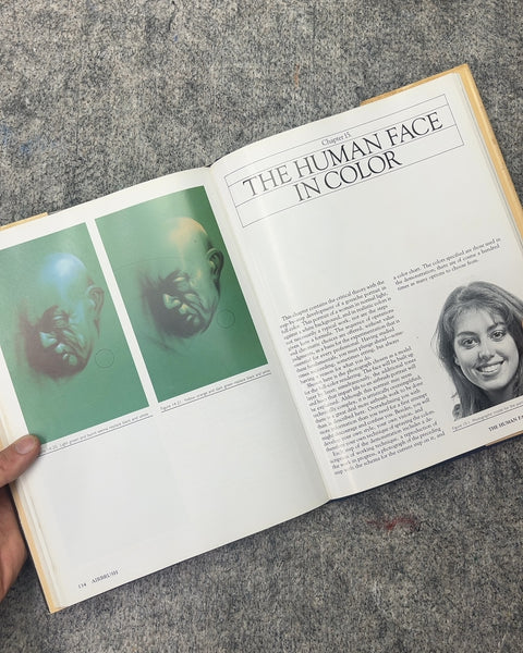 Airbrush: The Complete Studio Handbook by Radu Vero