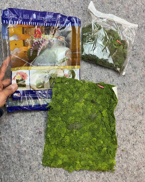 Instant Green All Purpose Moss Mat and Bagged Moss