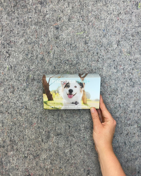 Findster Duo+ GPS Pet Tracker