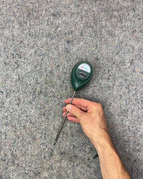 Moisture Meter