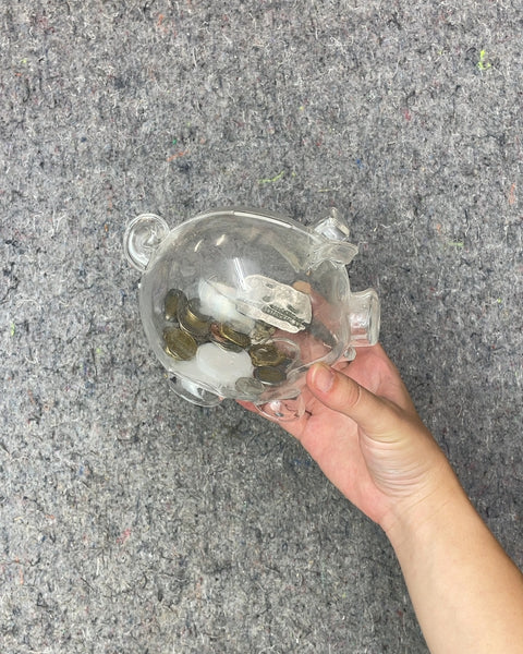Plastic Piggy Bank With Someone's Leftover Coin Collection