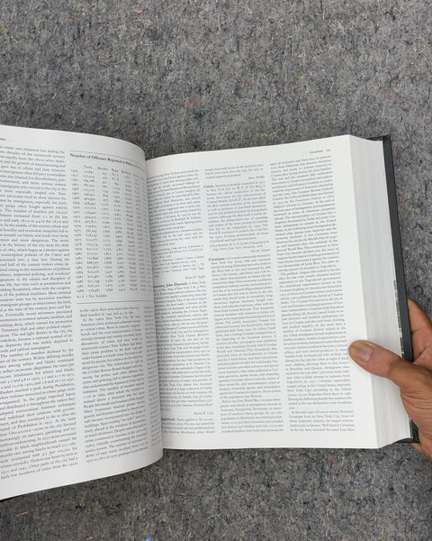 The Encyclopedia of New York City by Kenneth T. Jackson