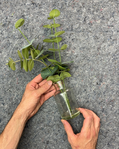 Faux Eucalyptus Stems in Glass Vase