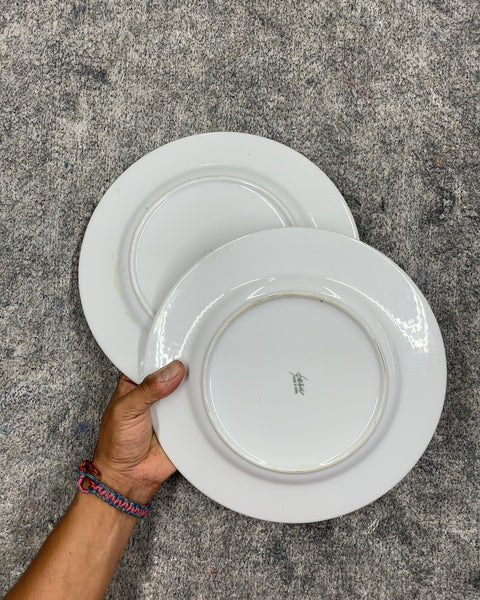 Grapes White Dinner Plate, 10"