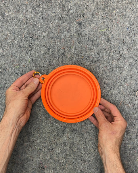 Orange Collapsible Pet Bowl