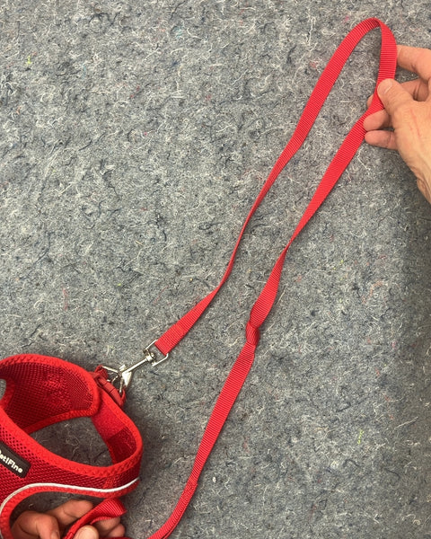 PetiFine Red Mesh Dog Harness with Leash, Size S