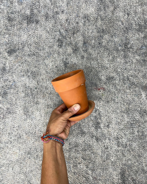 Terracotta Clay Plant Pot with Saucer, 4”