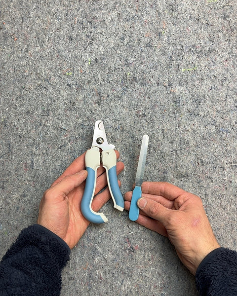Pet Nail Clippers and File Set