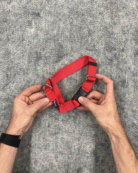 Red Nylon Martingale Dog Collar