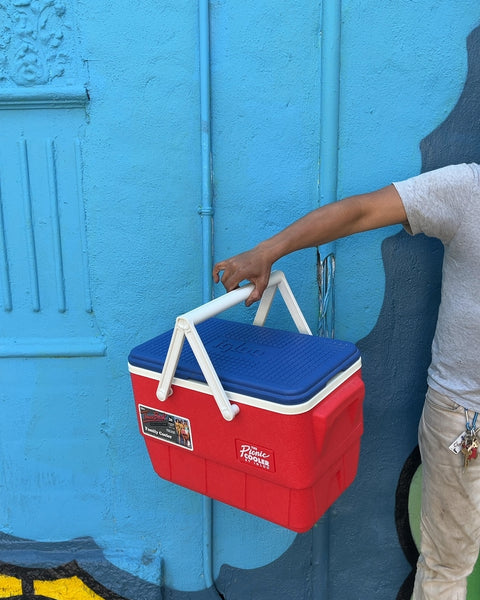 Brand New Igloo Picnic Basket Family Cooler, 36Qt
