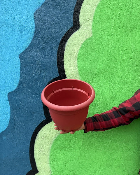 Red Plastic Plant Pot, 10"