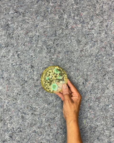 Resin Coaster with Dried Flowers