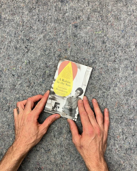 A Raisin in the Sun by Lorraine Hansberry