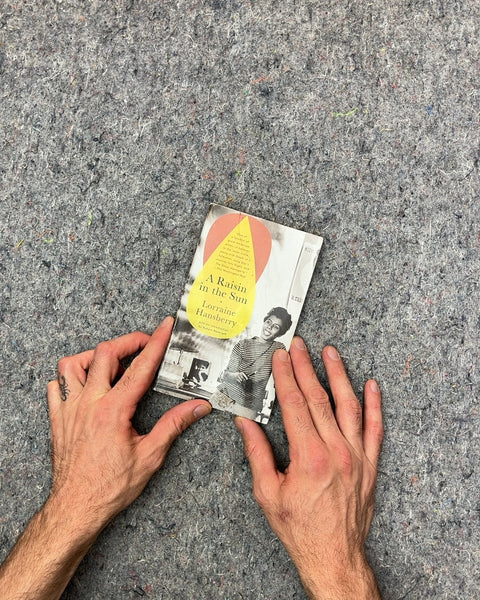 A Raisin in the Sun by Lorraine Hansberry