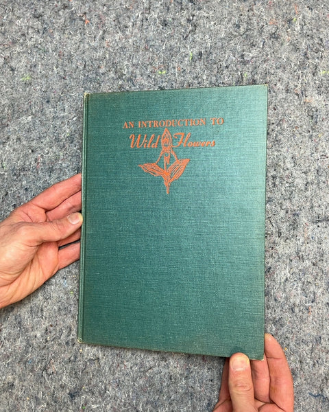 An Introduction to Wild Flowers Vintage Guide
