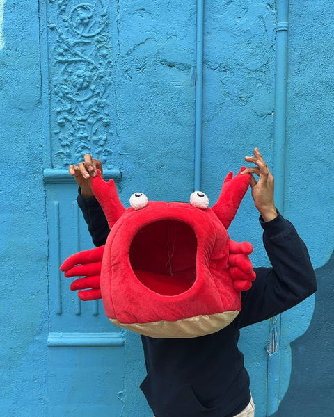 Red Crab Pet Bed