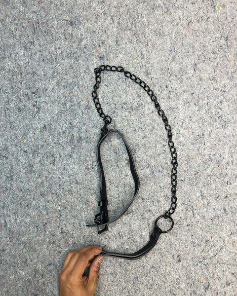 Kinky Pet Leash, 25"