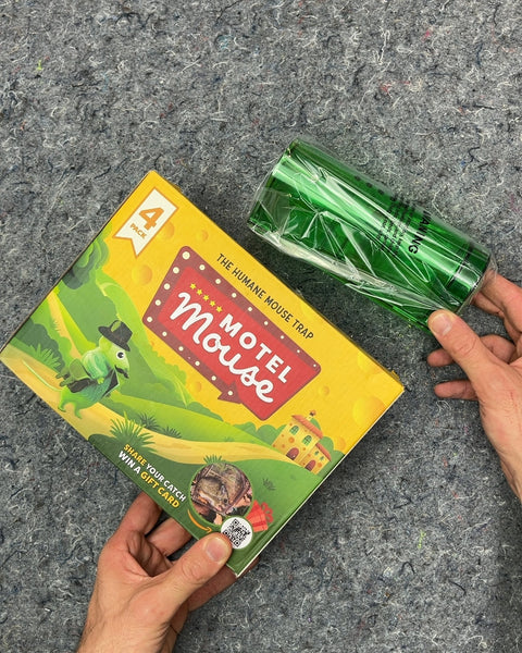 3 Motel Mouse Humane Mouse Traps