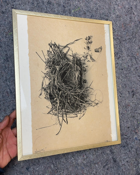Framed Nest Drawing, 10x14"