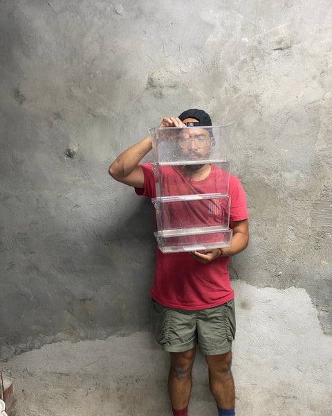 Clear Plastic Storage Bins, 3.5x4.5x11.5"