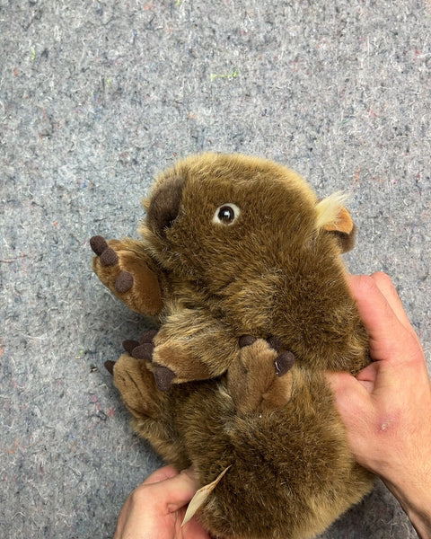 Bigass Wombat Plush Toy