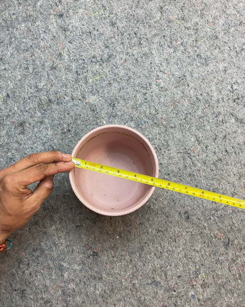 Pink Ribbed Planter Pot