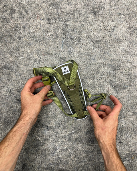 Wild Hound Green Dog Harness, Size M