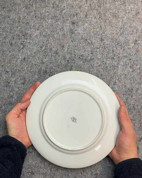 Vintage Floral Dinner Plates, Set of 2