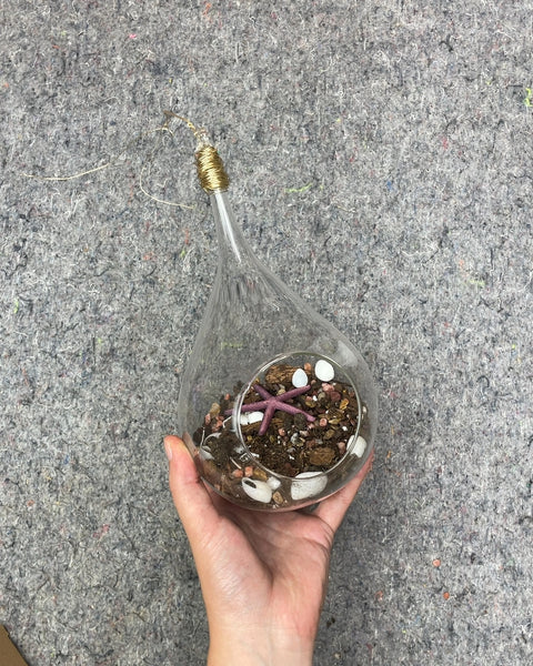 Hanging Glass Air Terrarium