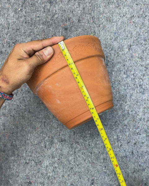 Terracotta Planter Pot with Embossed Rim, 8x6"