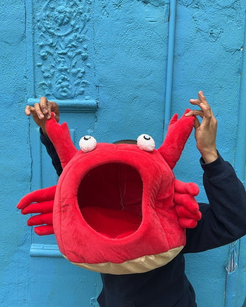 Red Crab Pet Bed