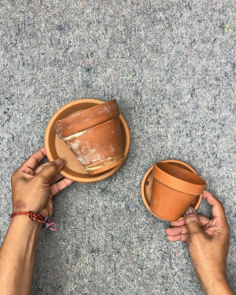 Coupla Terracotta Plant Pots with Saucers