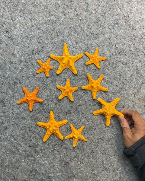 Grip of Yellow & Orange Starfishes