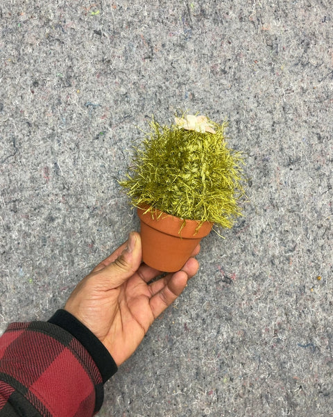 Artificial Cactus in Pot
