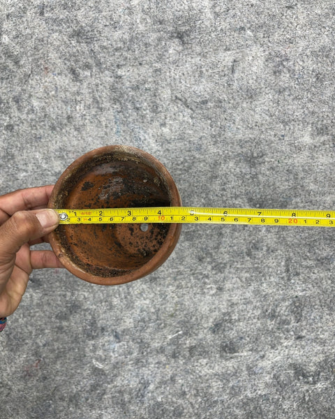 Small Terracotta Clay Plant Pot, 4.5”