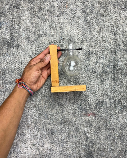 Glass Propagation Vase with Wood Stand