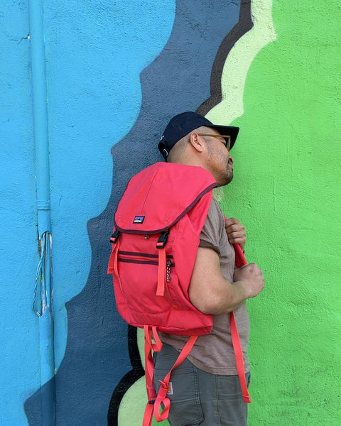 Like New Patagonia Arbor Classic 25L Backpack