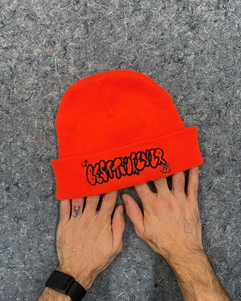 Amine "Best Tour Ever" Beanie