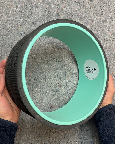 Chirp Wheel Back Roller