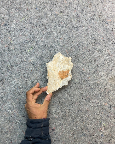 Aragonite Mineral Rock