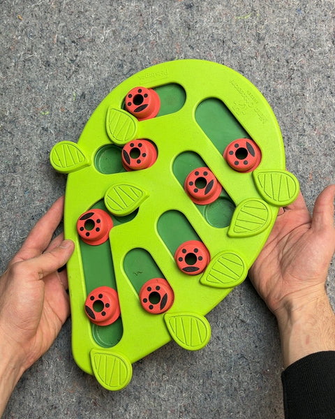Green and Orange Pet Puzzle Feeder