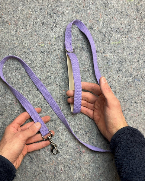 Purple (Or Is Lavender Really?) Pet Leash, 60-ish Inches