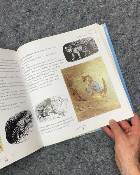 Peter Rabbit's Giant Storybook by Beatrix Potter
