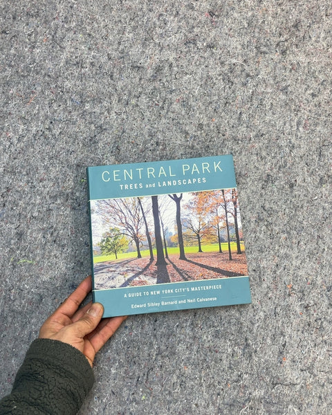 Central Park Trees and Landscapes by Edward Sibley Barnard