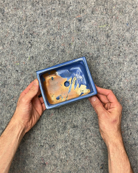 Michael Carr Cobalt Blue Rectangular Bonsai Pot, 6"