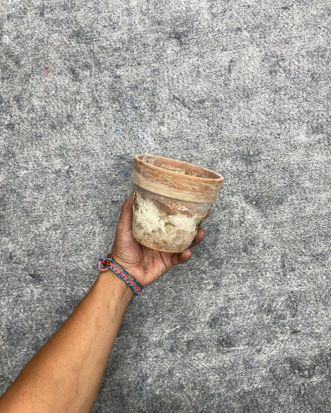 Rustic Terracotta Plant Pot, 5”
